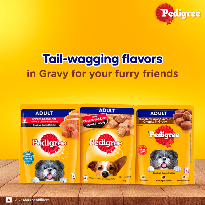 Pedigree Adult, Wet Dog Food, Roasted Lamb Flavor Chunks in Gravy, 70 gm