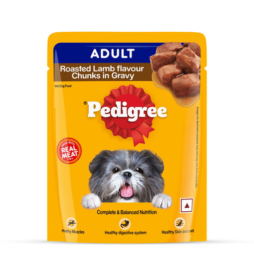 Pedigree Adult, Wet Dog Food, Roasted Lamb Flavor Chunks in Gravy, 70 gm