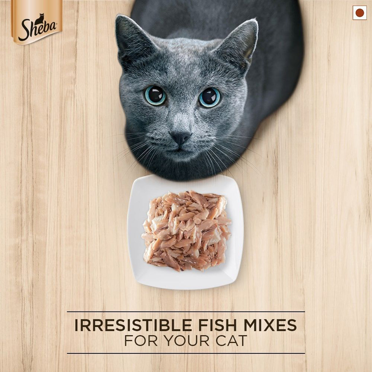 Sheba Rich Fish Mix (Maguro & Bream) Premium Wet Cat Food - 35 gm