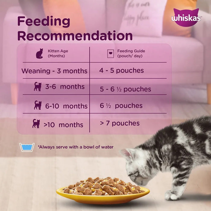 Whiskas Kitten (2-12 months) Tuna in Jelly Wet Food - 80 gm