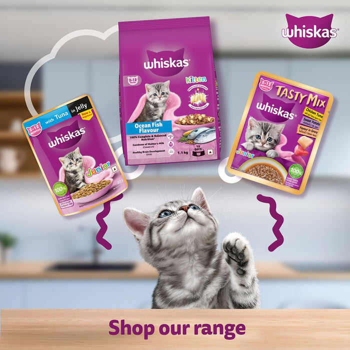 Whiskas Tasty Mix Chicken Tuna with Sweet Potato Kitten Wet Cat Food 70 gm