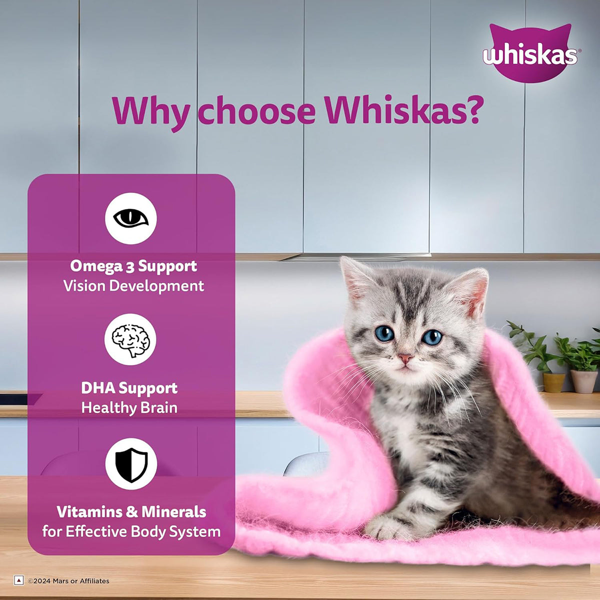 Whiskas Tasty Mix Chicken Tuna with Sweet Potato Kitten Wet Cat Food 70 gm