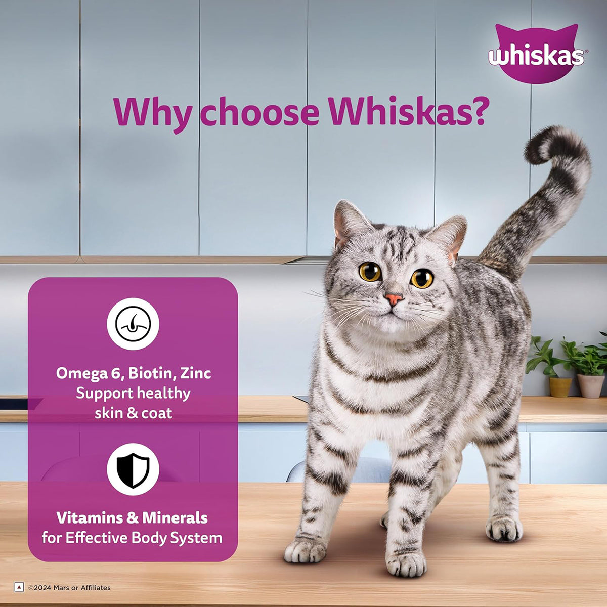 Whiskas Tuna & White Fish Flavour Adult (1+ Years) Wet Cat Food 70 gm