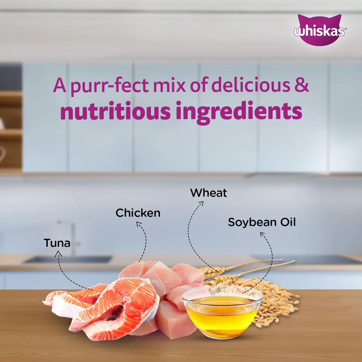 Whiskas Junior Mackerel Flavour Kitten (2-12 Months) Wet Cat Food 70 gm