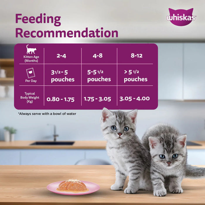 Whiskas Junior Mackerel Flavour Kitten (2-12 Months) Wet Cat Food 70 gm