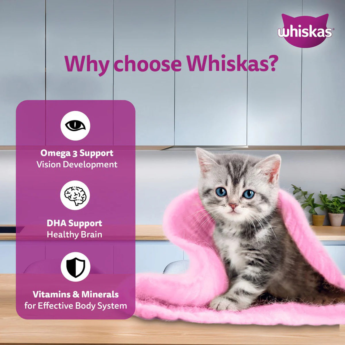 Whiskas Junior Mackerel Flavour Kitten (2-12 Months) Wet Cat Food 70 gm