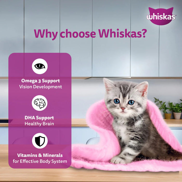 Whiskas Junior Mackerel Flavour Kitten (2-12 Months) Wet Cat Food 70 gm