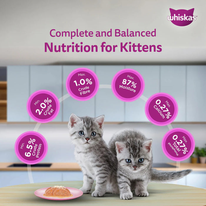 Whiskas Junior Mackerel Flavour Kitten (2-12 Months) Wet Cat Food 70 gm