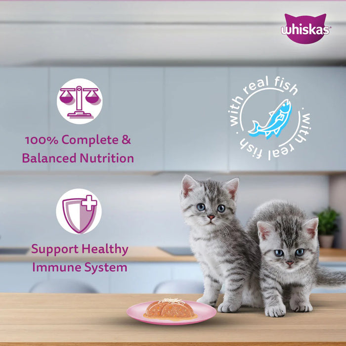 Whiskas Junior Mackerel Flavour Kitten (2-12 Months) Wet Cat Food 70 gm