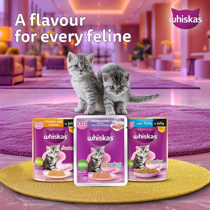 Whiskas Junior Mackerel Flavour Kitten (2-12 Months) Wet Cat Food 70 gm