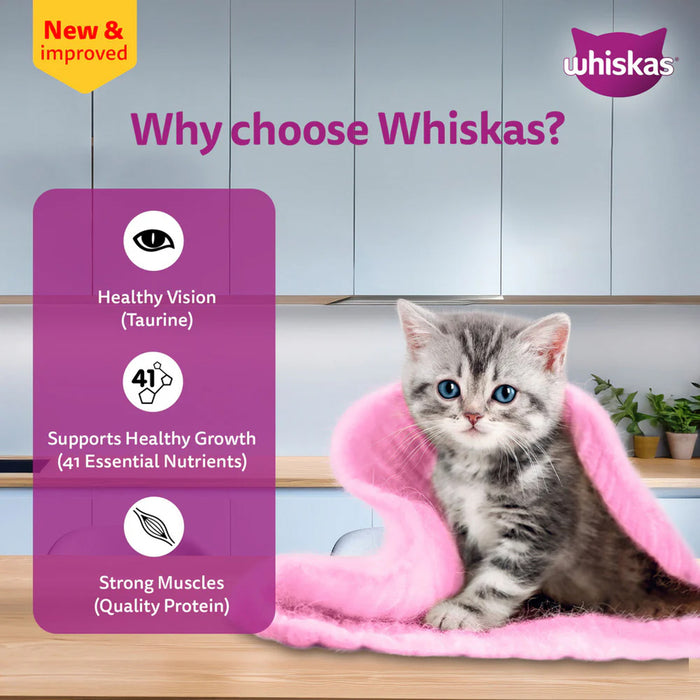 Whiskas Chicken with Salmon in Jelly Kitten (2-12 Months) Wet Cat Food 70 gm