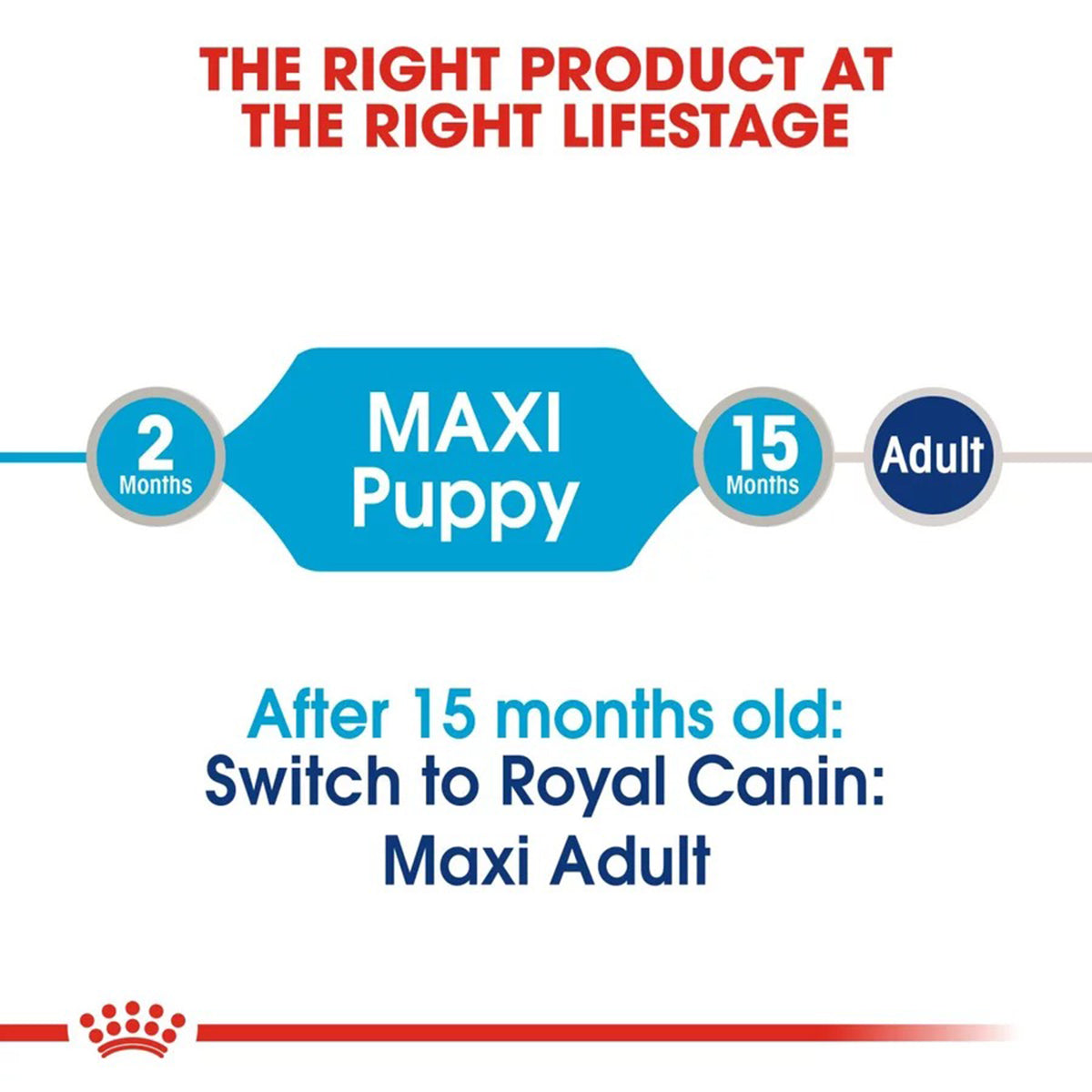 Royal Canin Maxi Puppy Wet Dog Food 140 gm(Pack Of 12)