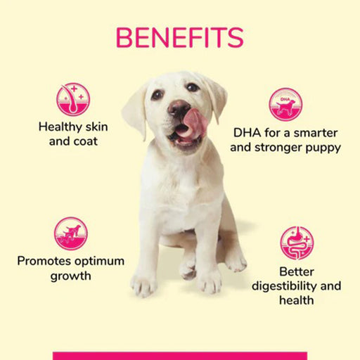 Canine Creek Real Chicken Gravy for Puppy Wet Dog Food -150g