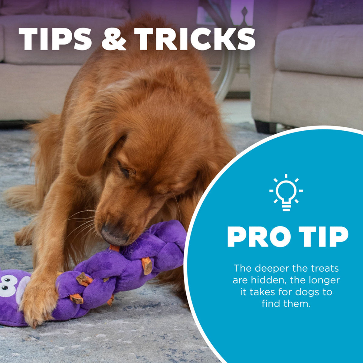 Outward Hound Twistiez Unicorn Purple Large