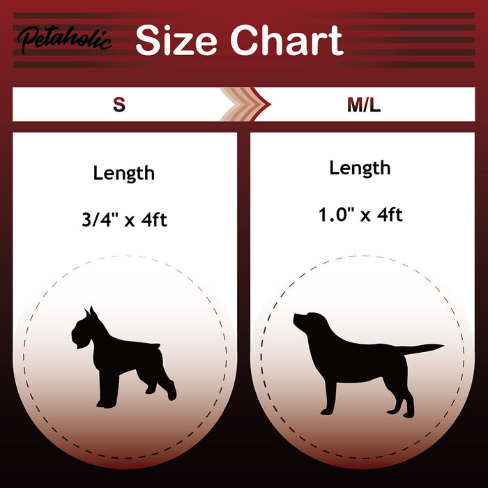 Petaholic Sports Series Pet Leash - Black