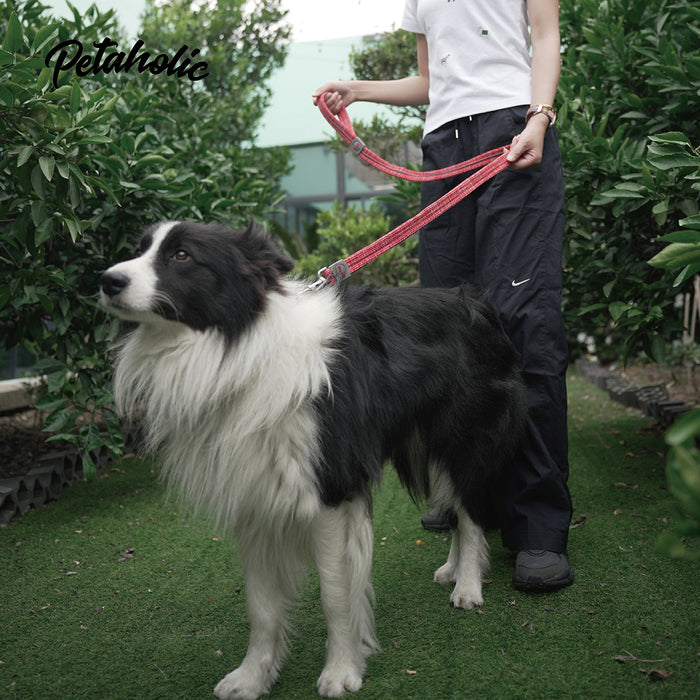 Petaholic Sports Series Pet Leash - Maroon