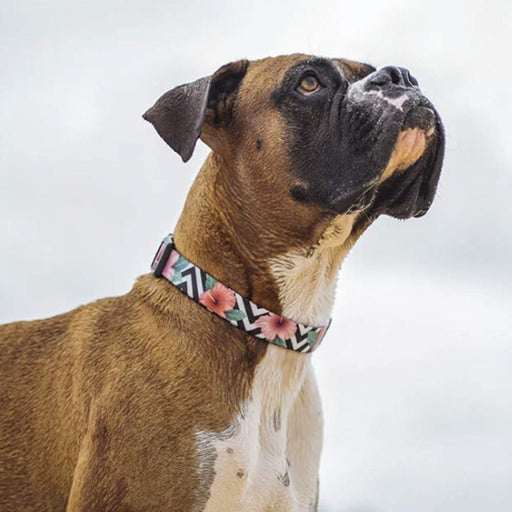 Zee Dog Mahalo Collar