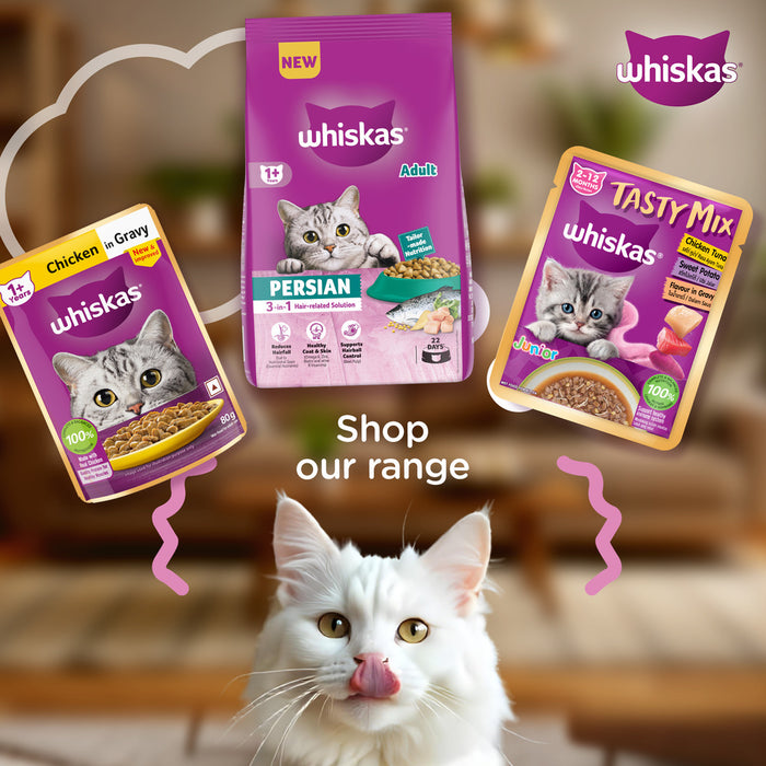 Whiskas Persian (1+ Years) Adult Dry Cat Food