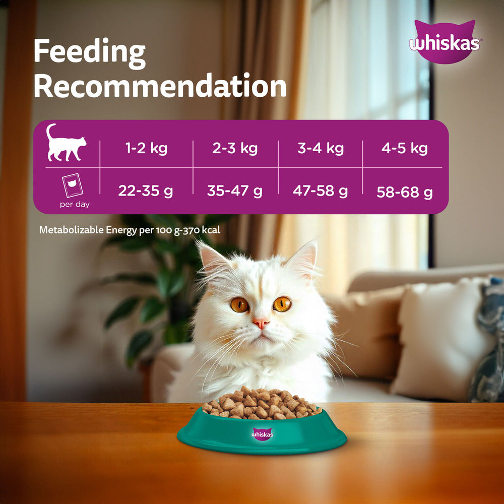 Whiskas Persian (1+ Years) Adult Dry Cat Food