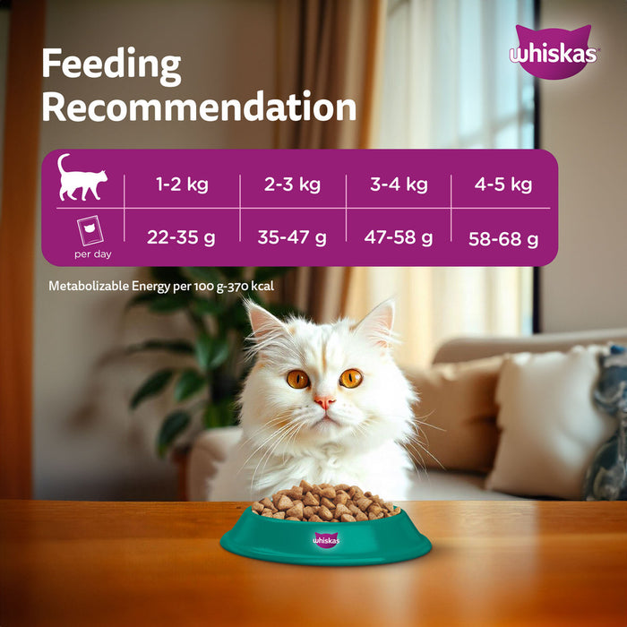 Whiskas Persian (1+ Years) Adult Dry Cat Food