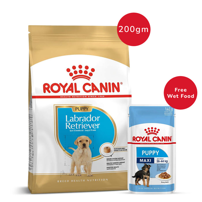 Royal Canin Labrador Puppy Dry Food 200g + Maxi Puppy Wet Pouch 140g