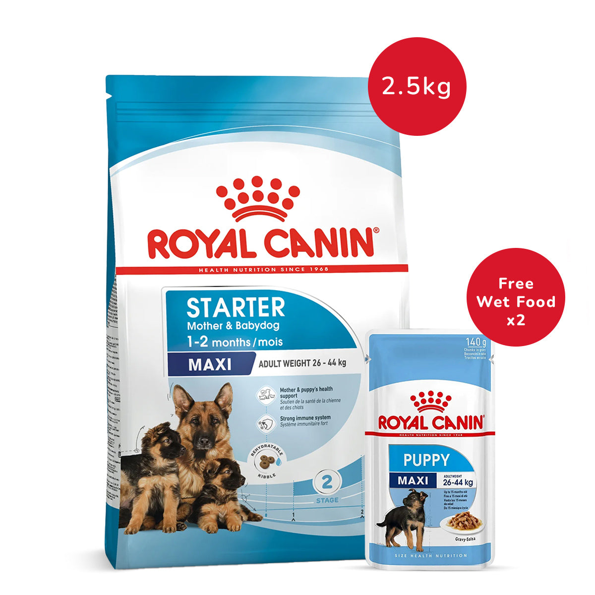 Royal Canin Maxi Starter 2.5 Kg + Royal Canin Maxi Puppy Wet Dog Food (140 gm x 2)