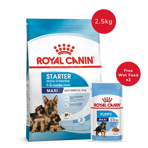 Royal Canin Maxi Starter 2.5 Kg + Royal Canin Maxi Puppy Wet Dog Food (140 gm x 2)