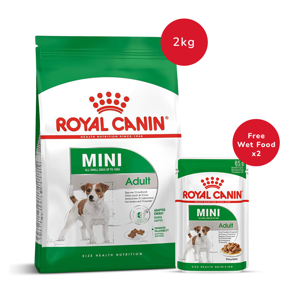 Royal Canin Mini Adult Dry Dog Food-2 kg + Royal Canin Mini Adult Wet Dog Food (85 gm x 2)