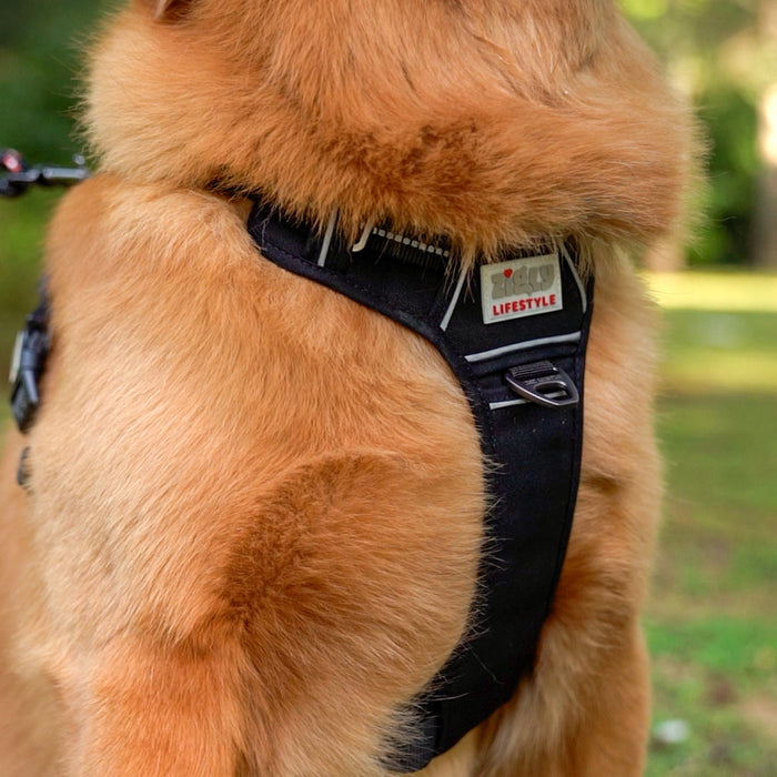 ZL Shadow Guard Adjustable Padded Dog Harness Black