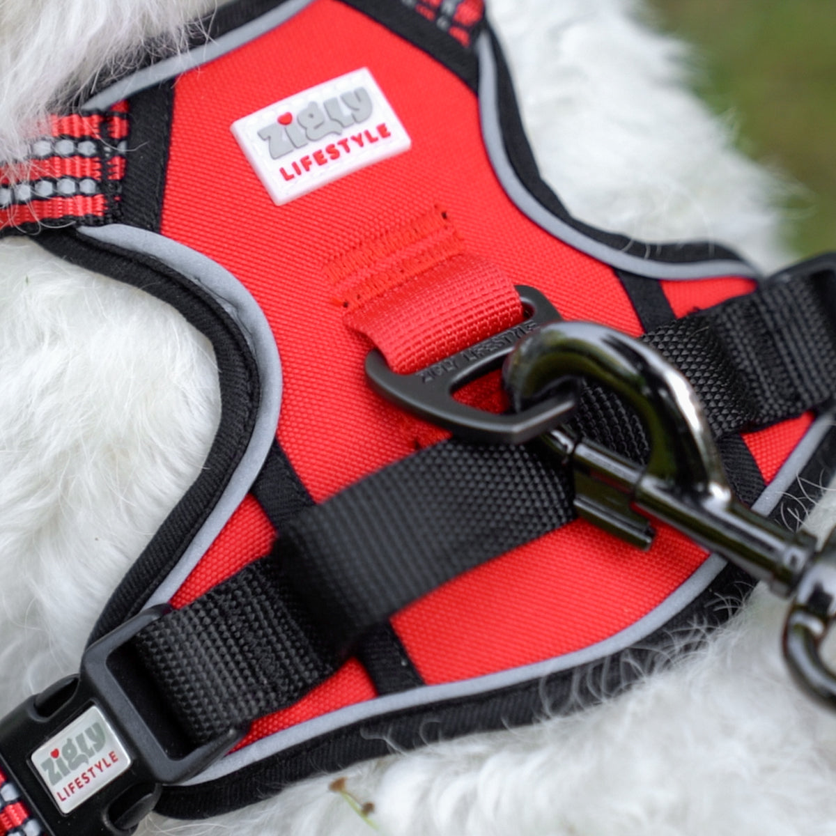 ZL Scarlet Adjustable Padded Dog Harness