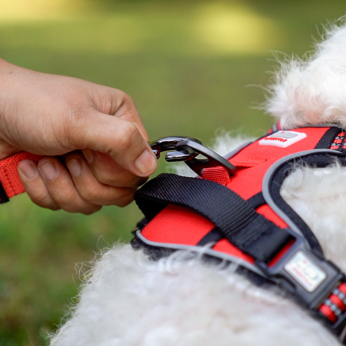 ZL Scarlet Adjustable Padded Dog Harness