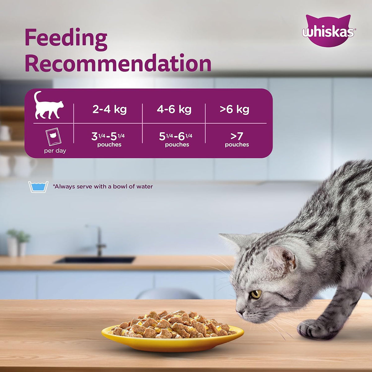 Whiskas Adult (+1 year) Wet Cat Food, Chicken in Gravy