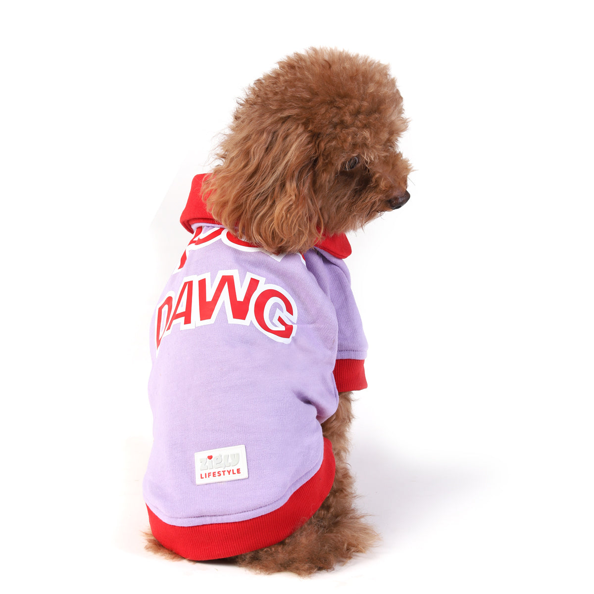 ZL Boop Dawg Sweatshirt