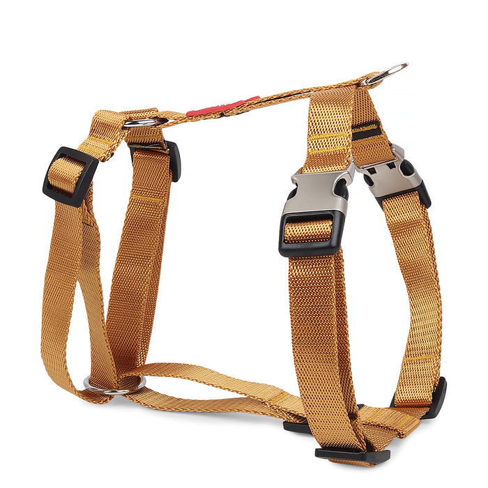 ZL Classic Dog H Harness Gold