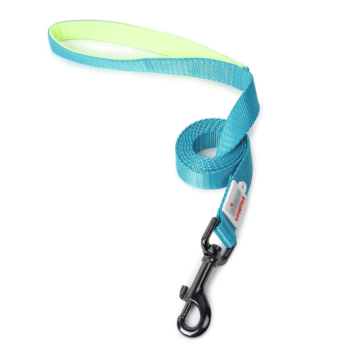 ZL Classic Padded Dog Collar & Leash Set - Neon Green