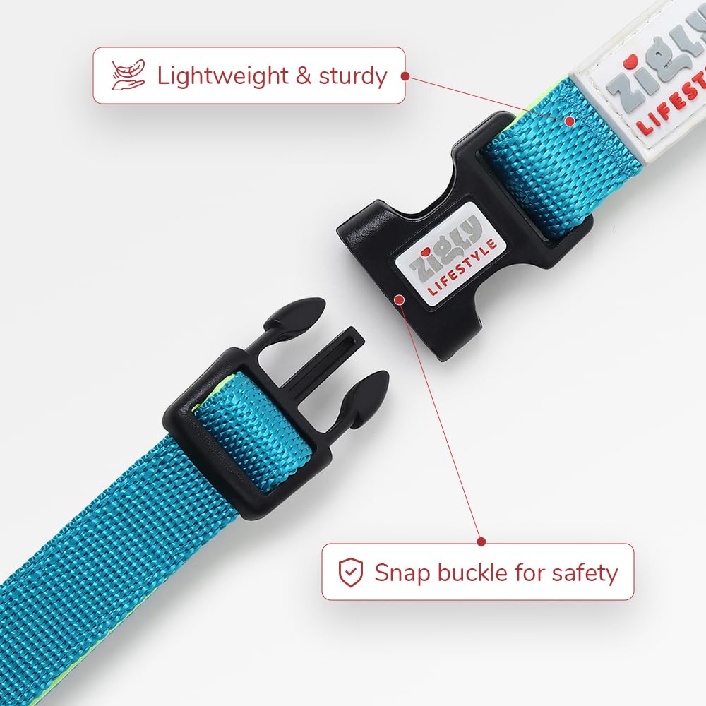 ZL Classic Padded Dog Collar & Leash Set - Neon Green