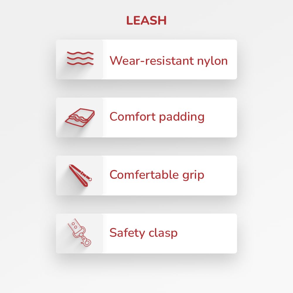 ZL Classic Padded Dog Collar & Leash Set - Neon Green