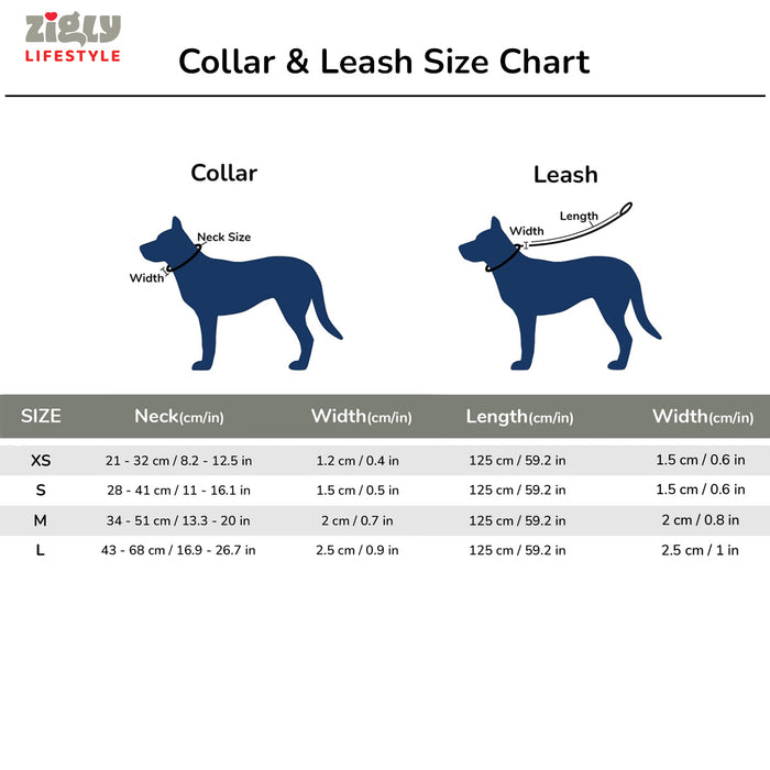 ZL Classic Padded Dog Collar & Leash Set - Black