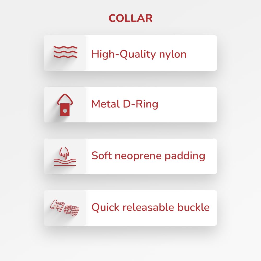 ZL Classic Padded Dog Collar & Leash Set - Red