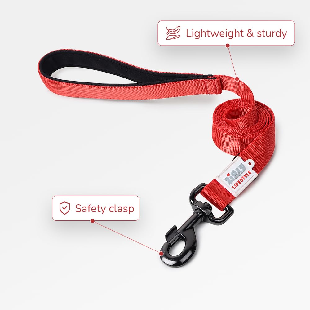ZL Classic Padded Dog Collar & Leash Set - Red