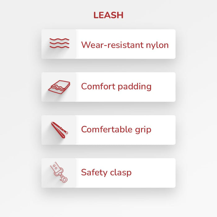 ZL Classic Padded Dog Collar & Leash Set - Red