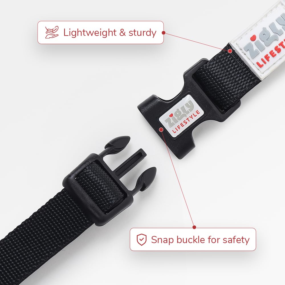 ZL Classic Padded Dog Collar & Refelective Leash Set - Black