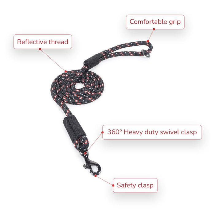 ZL Classic Padded Dog Collar & Refelective Leash Set - Black