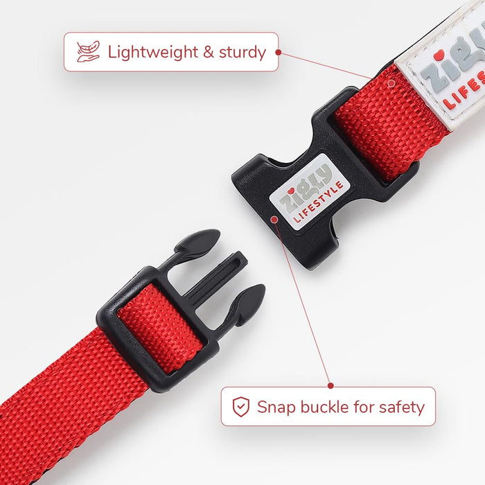 ZL Classic Padded Dog Collar & Refelective Leash Set - Red