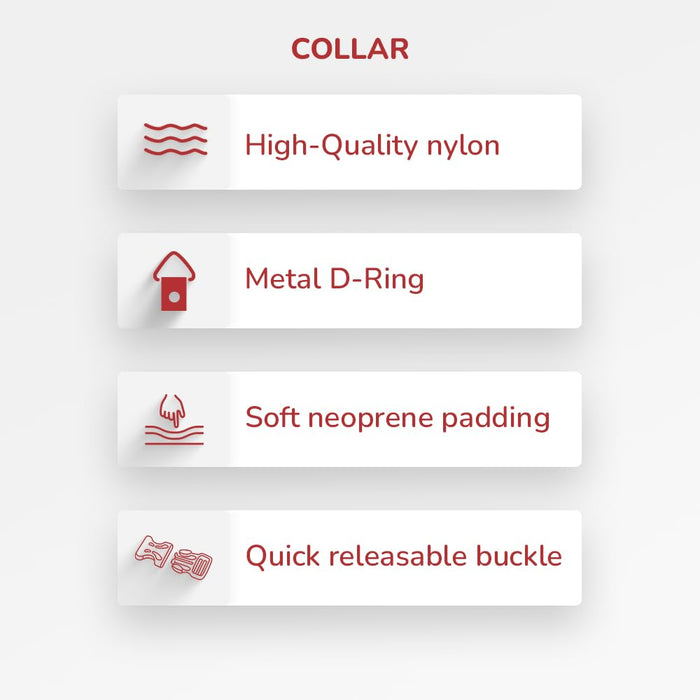 ZL Classic Padded Dog Collar & Refelective Leash Set - Red