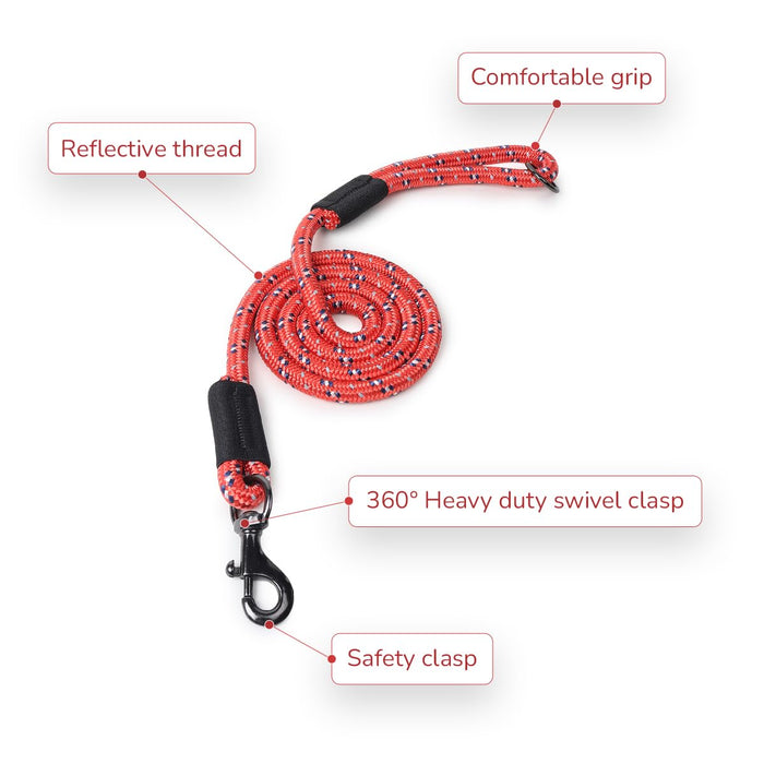 ZL Classic Padded Dog Collar & Refelective Leash Set - Red