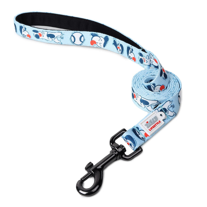 ZL Doodle Dog Collar & Leash Set - Blue