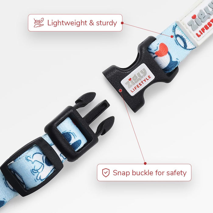 ZL Doodle Dog Collar & Leash Set - Blue