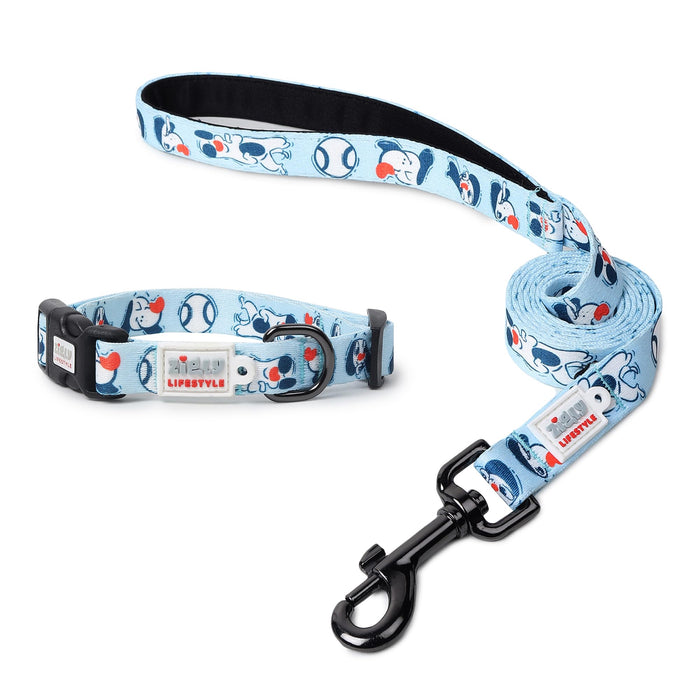 ZL Doodle Dog Collar & Leash Set - Blue