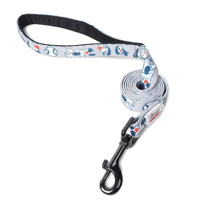 ZL Doodle Dog Collar & Leash Set - Grey